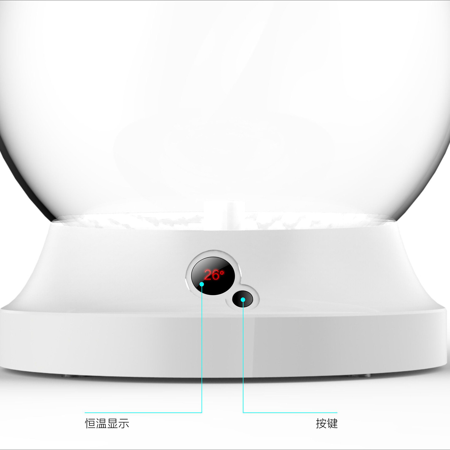 生态鱼缸生产研发-过滤器和鱼缸一体化设计